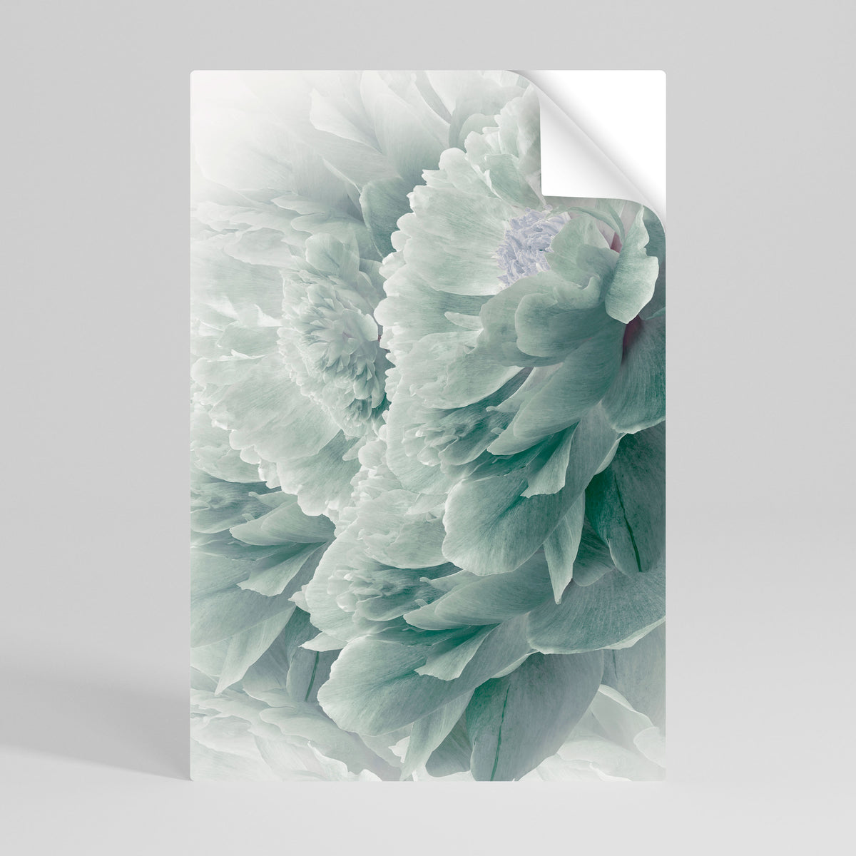 TREE PEONIES Självhäftande Vertikal Poster