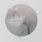 GENTLE LILY soffbord