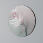 GENTLE LILY Round Wall Art