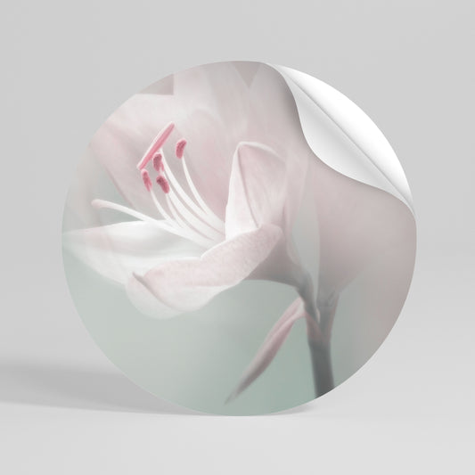 GENTLE LILY Peel and Stick Round Sticker