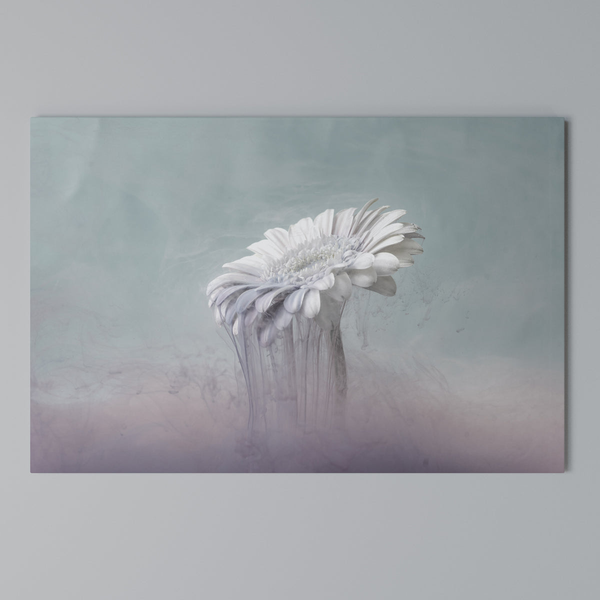 MELTING GERBERA Horizontal Canvas Print