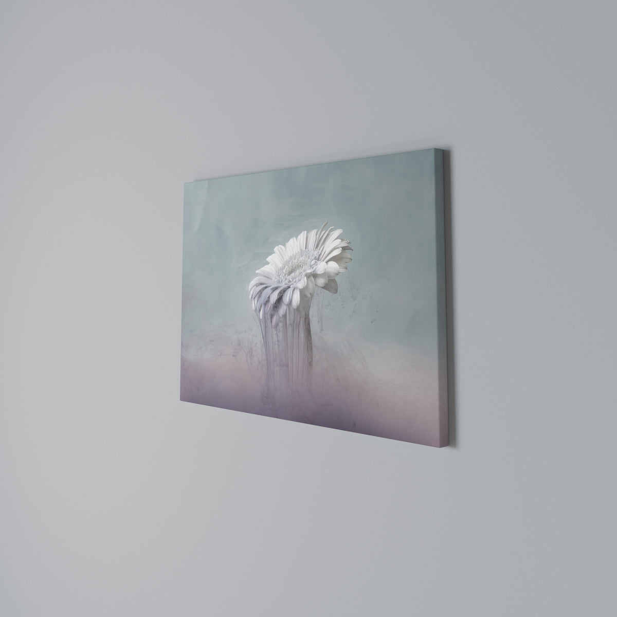 MELTING GERBERA Horizontal Canvas Print