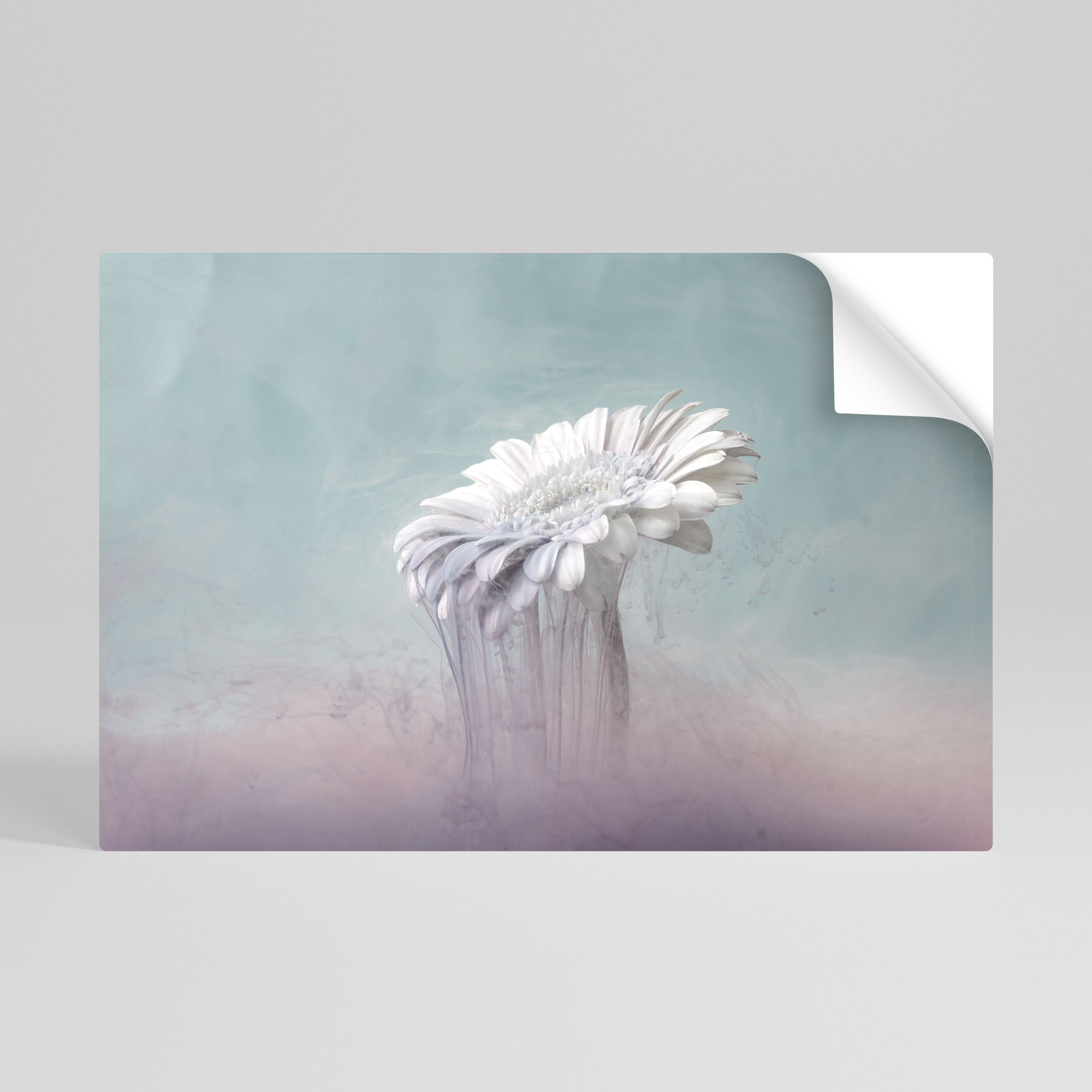 SMÄLTANDE GERBERA, självhäftande poster