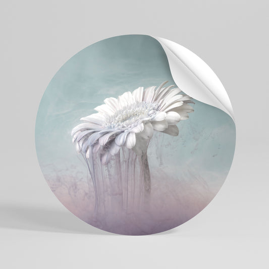 MELTING GERBERA Rund väggdekal