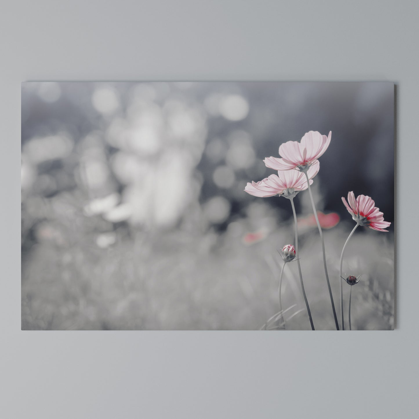 SUBTLE PETAL DANCE Horizontal Canvas Print