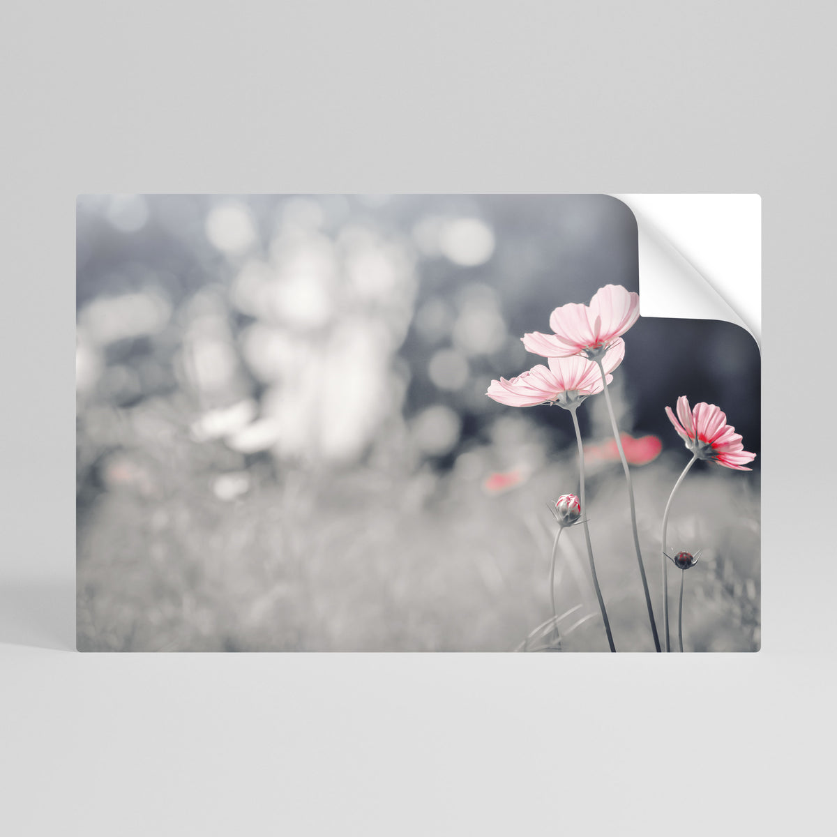 SUBTLE PETAL DANCE Självhäftande Horisontell Poster