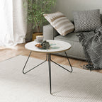 SILHOUETTES IN SOFT WATERS Coffee Table