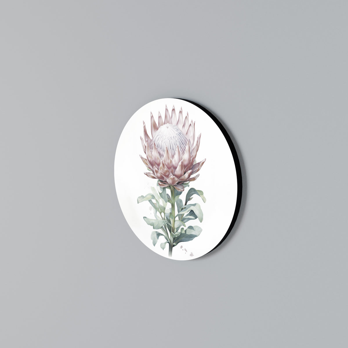 ROYAL PROTEA Rund väggdekor