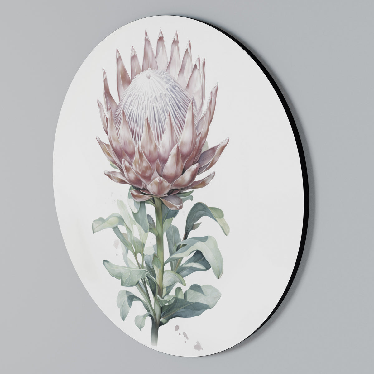 ROYAL PROTEA Rund väggdekor
