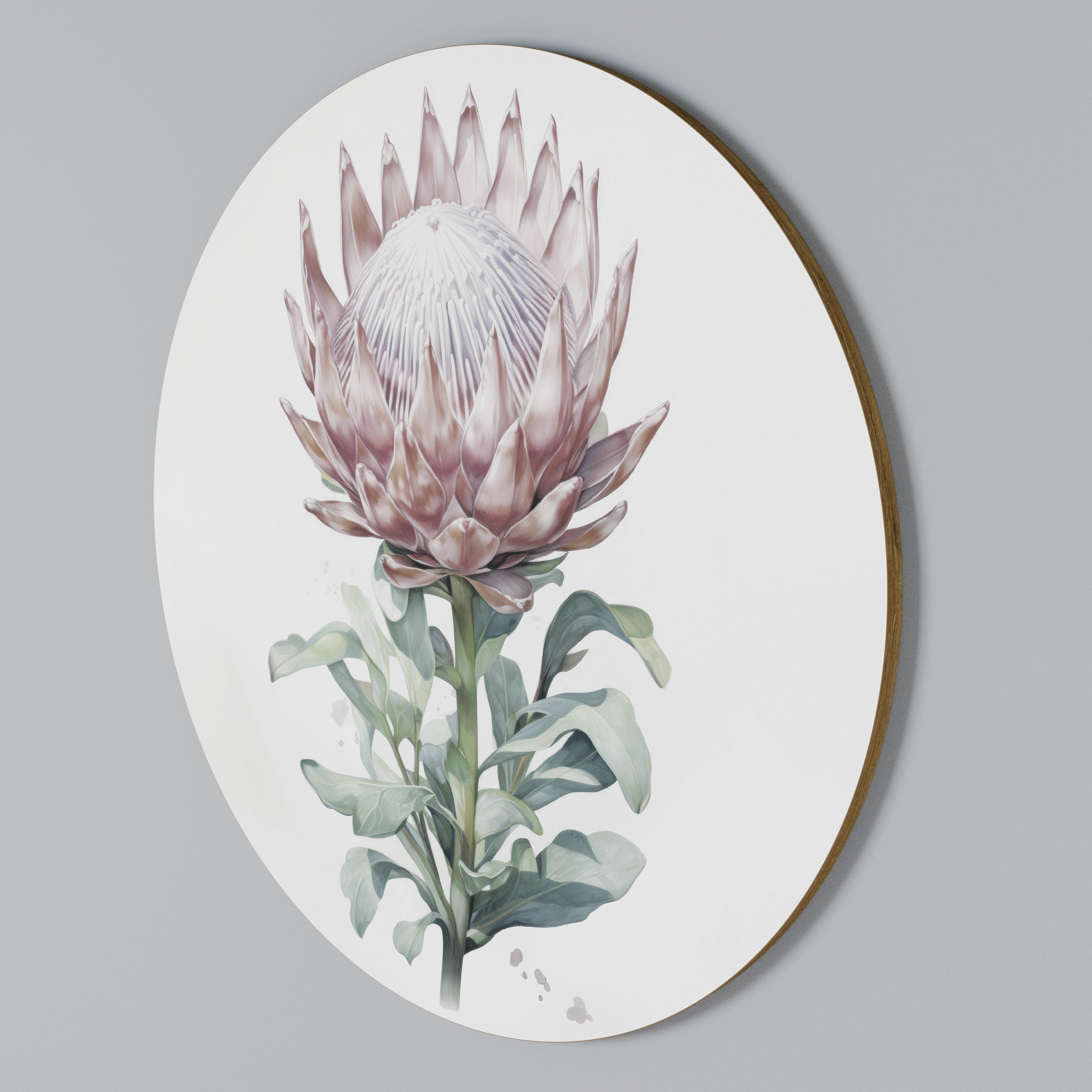 ROYAL PROTEA Rund väggdekor