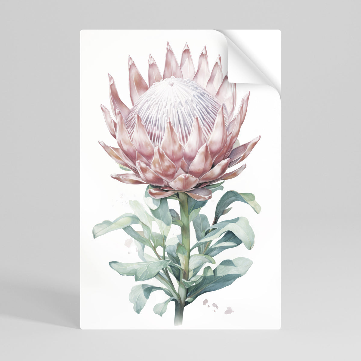 ROYAL PROTEA Självhäftande Vertikal Poster