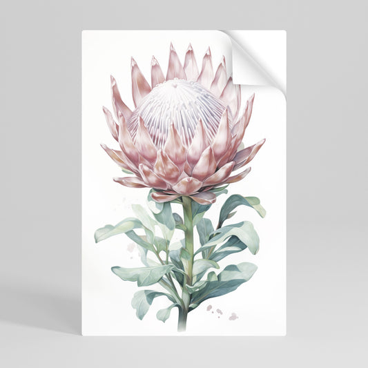 ROYAL PROTEA vertikal poster med självhäftande motiv