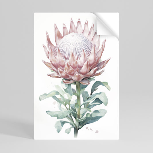 ROYAL PROTEA Självhäftande Vertikal Poster