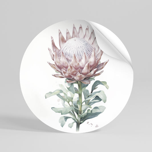 ROYAL PROTEA Rund väggdekal
