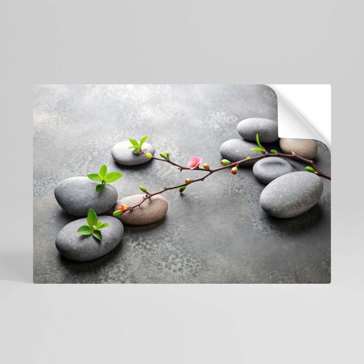 STONES AND BLOSSOMS Självhäftande Horisontell Poster