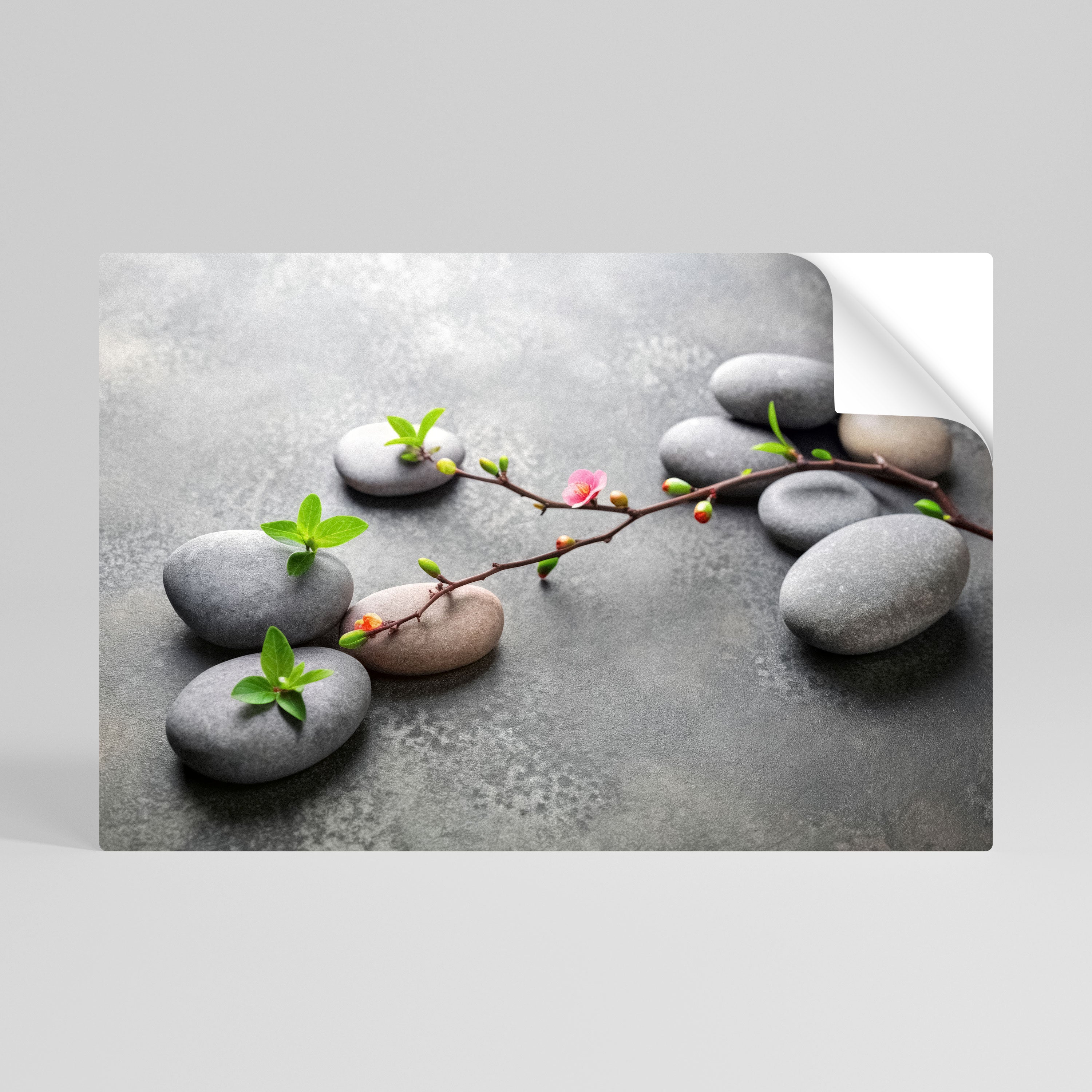 STONES AND BLOSSOMS Självhäftande Horisontell Poster