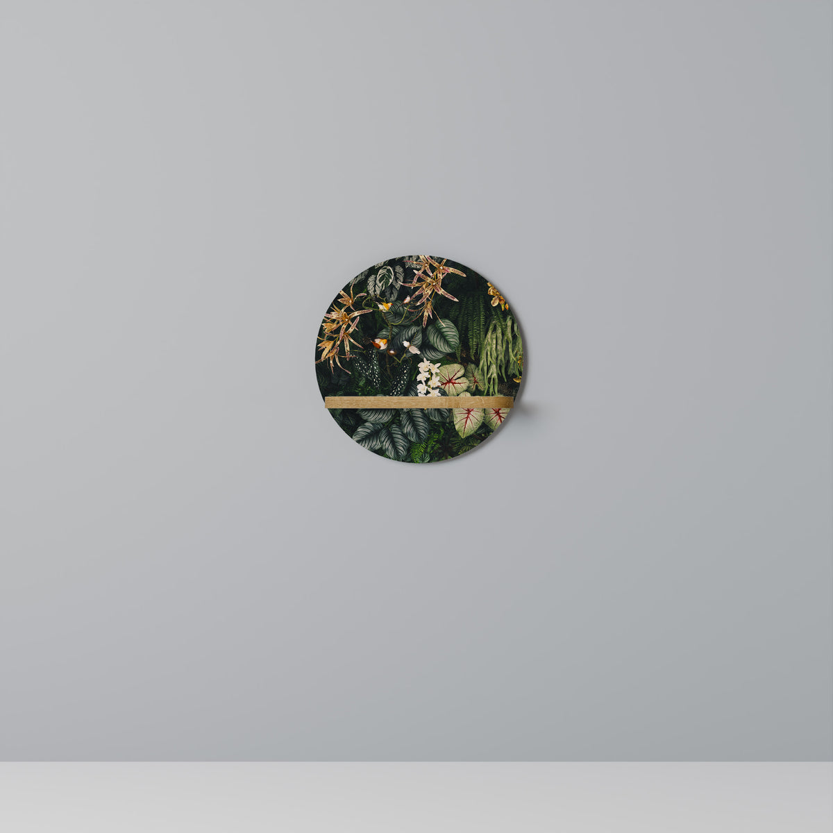 SILENT WILDERNESS Dekorationshylla