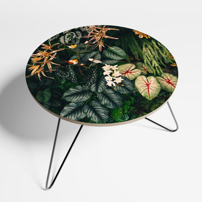 SILENT WILDERNESS Coffee Table 69