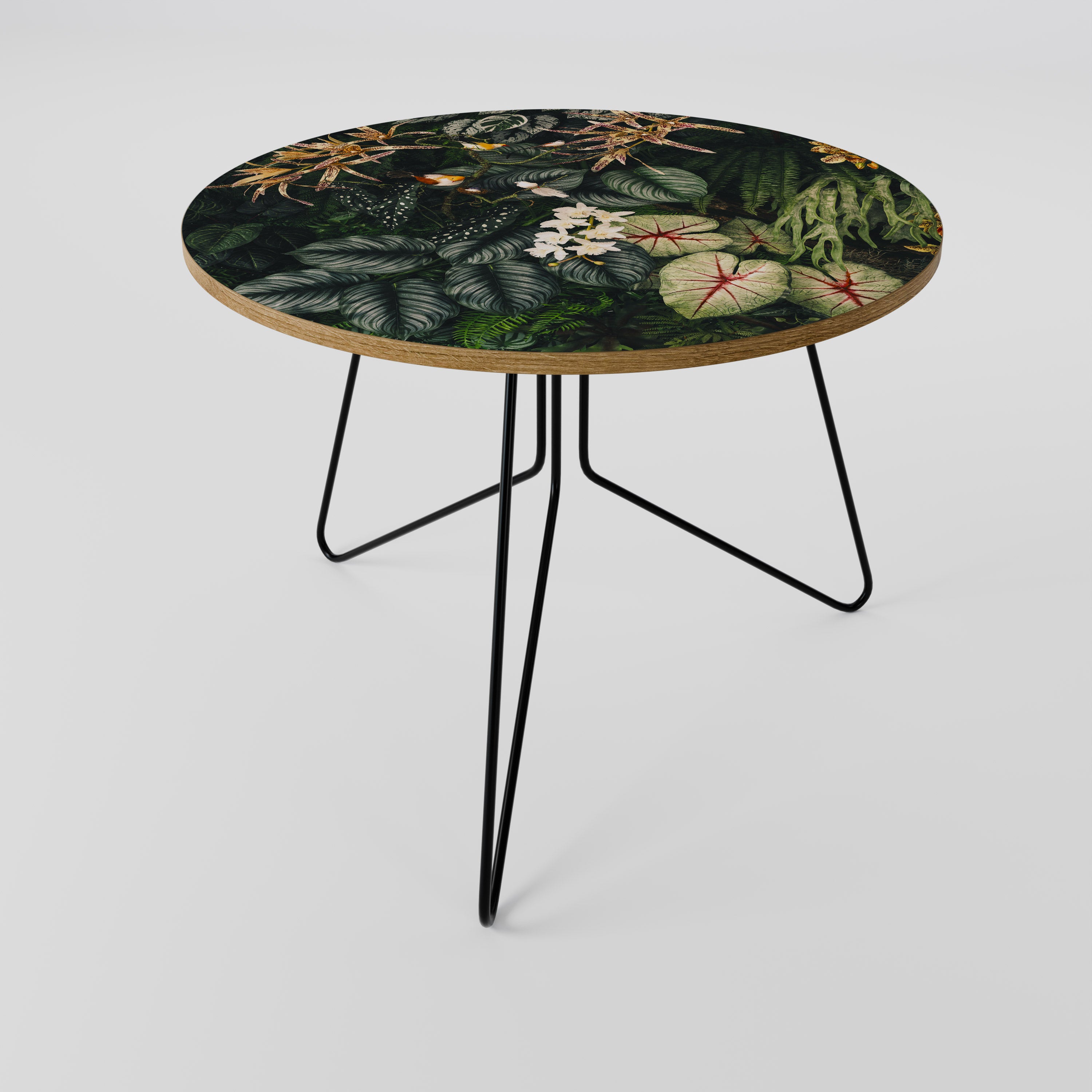 SILENT WILDERNESS Coffee Table