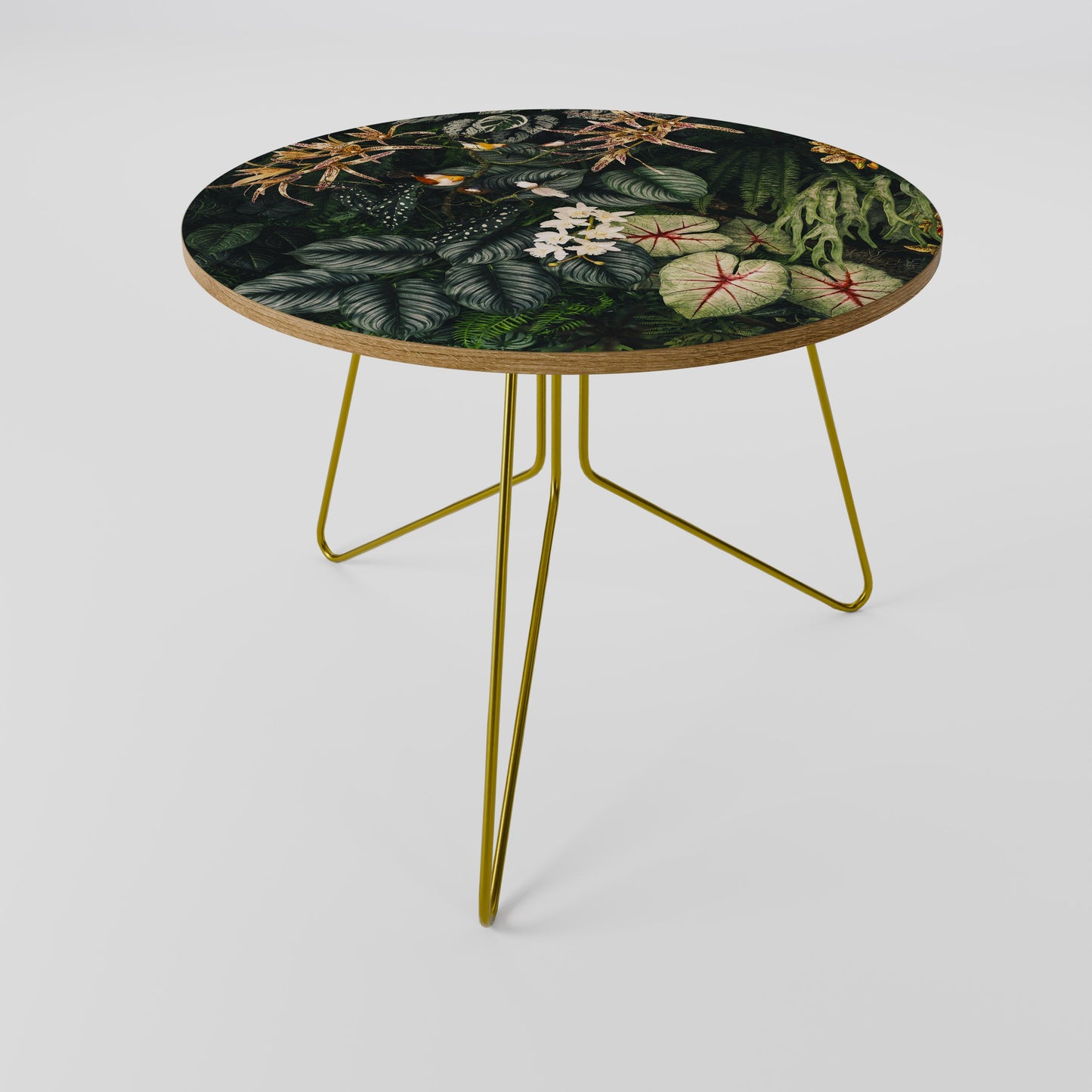 SILENT WILDERNESS Coffee Table 69
