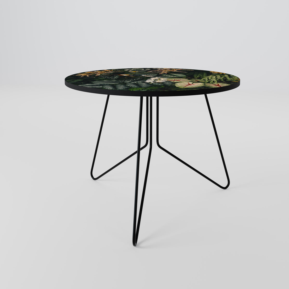 SILENT WILDERNESS Coffee Table