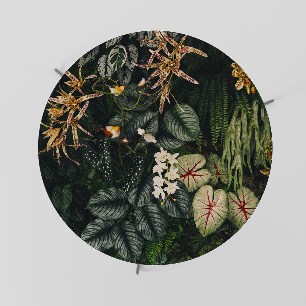 SILENT WILDERNESS Coffee Table