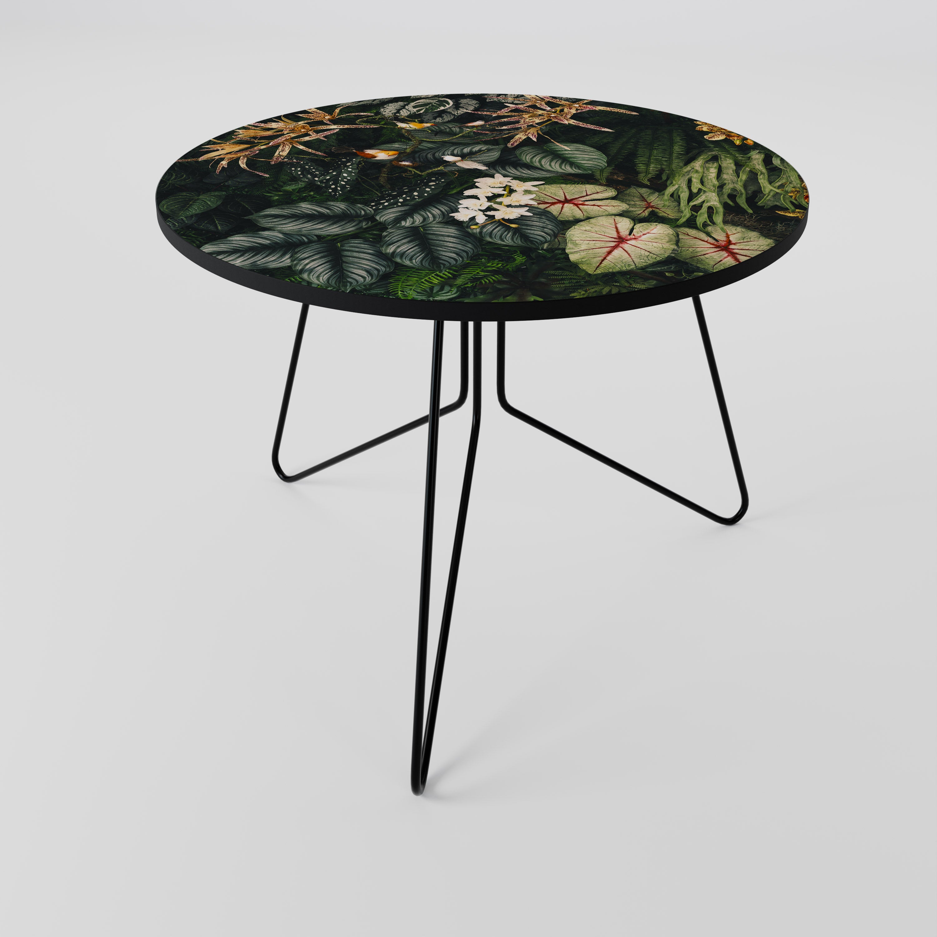 SILENT WILDERNESS Coffee Table