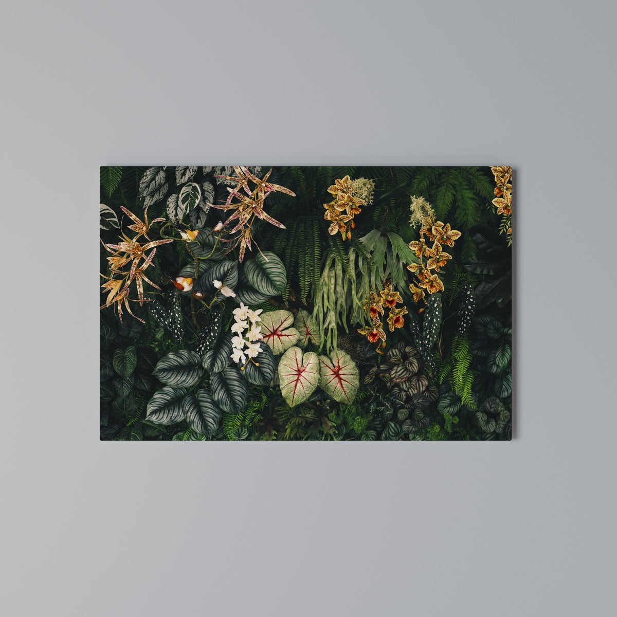 SILENT WILDERNESS Horizontal Canvas Print