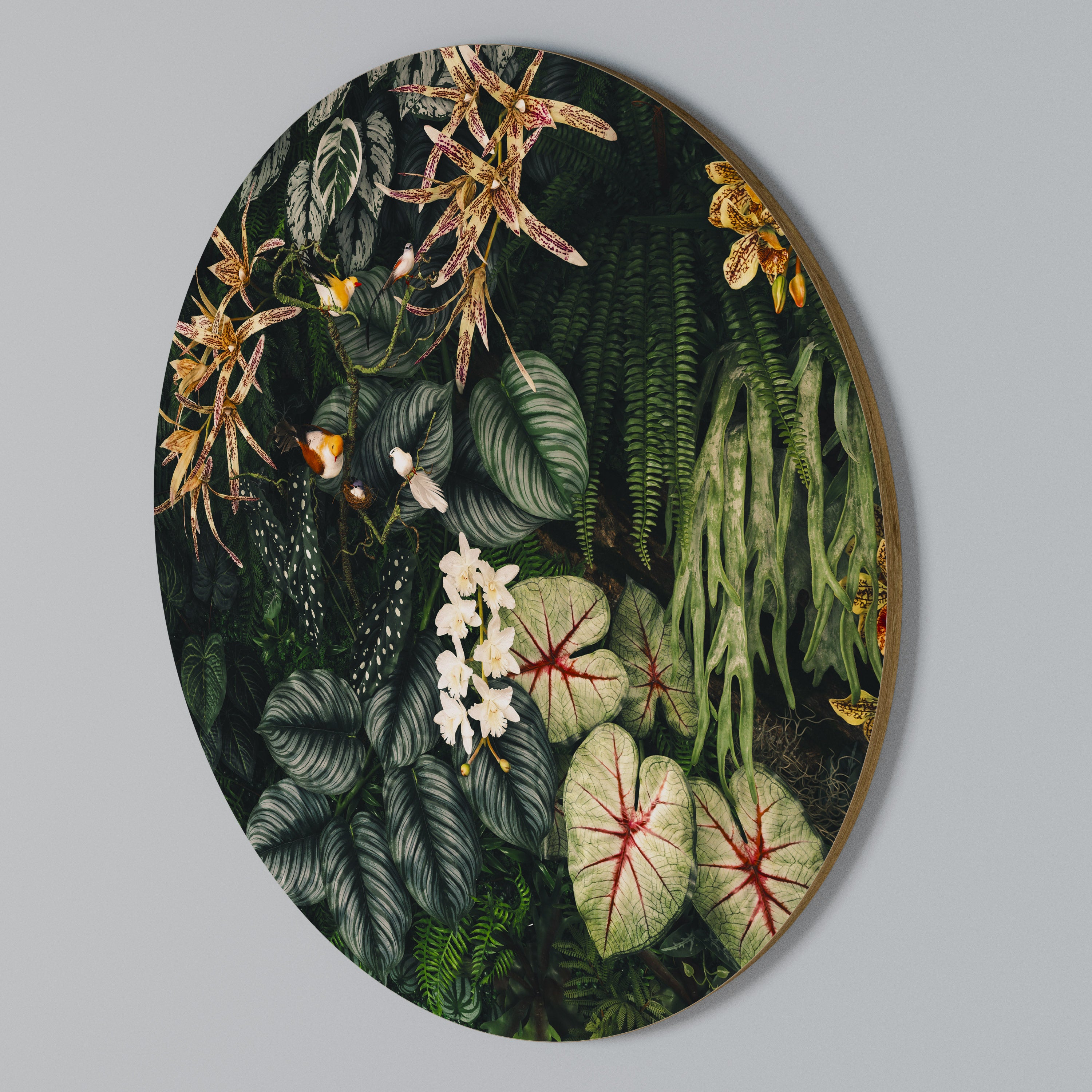 SILENT WILDERNESS Rund väggdekor