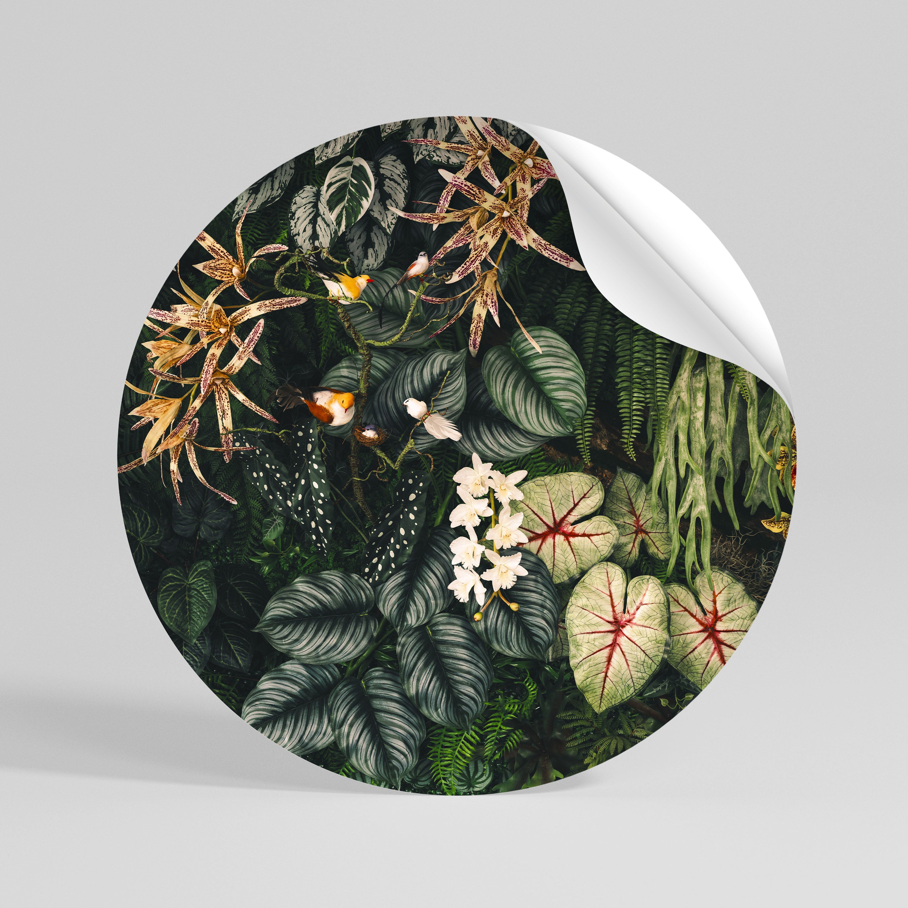 SILENT WILDERNESS Rund väggdekal