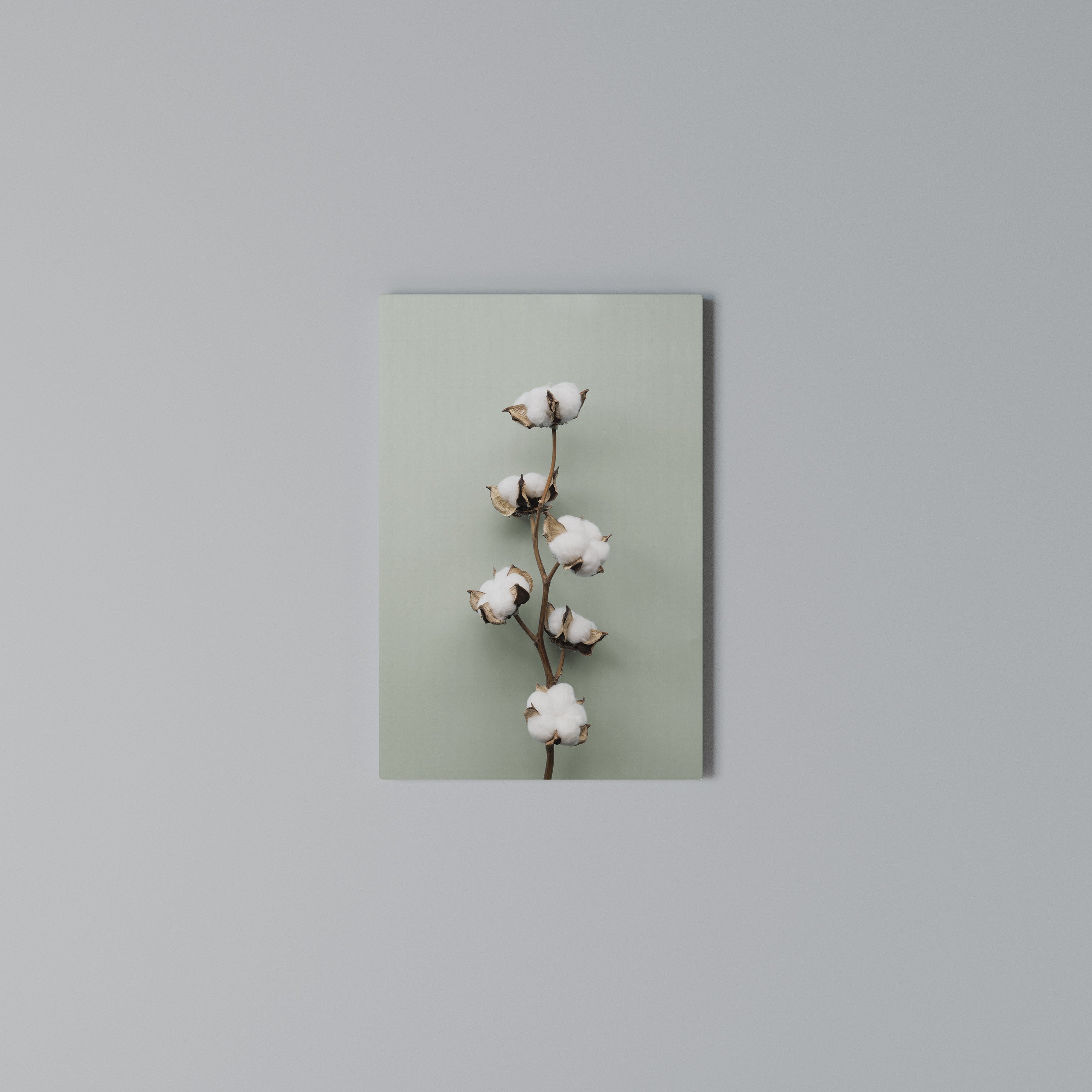 COTTON DREAMS UNFOLDED Vertical Canvas Print