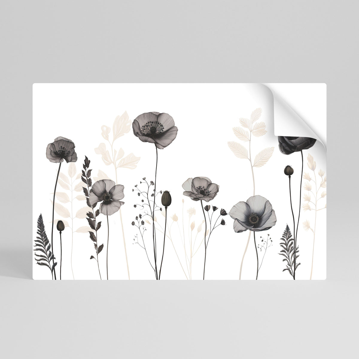 POPPY ALLURE Självhäftande Horisontell Poster