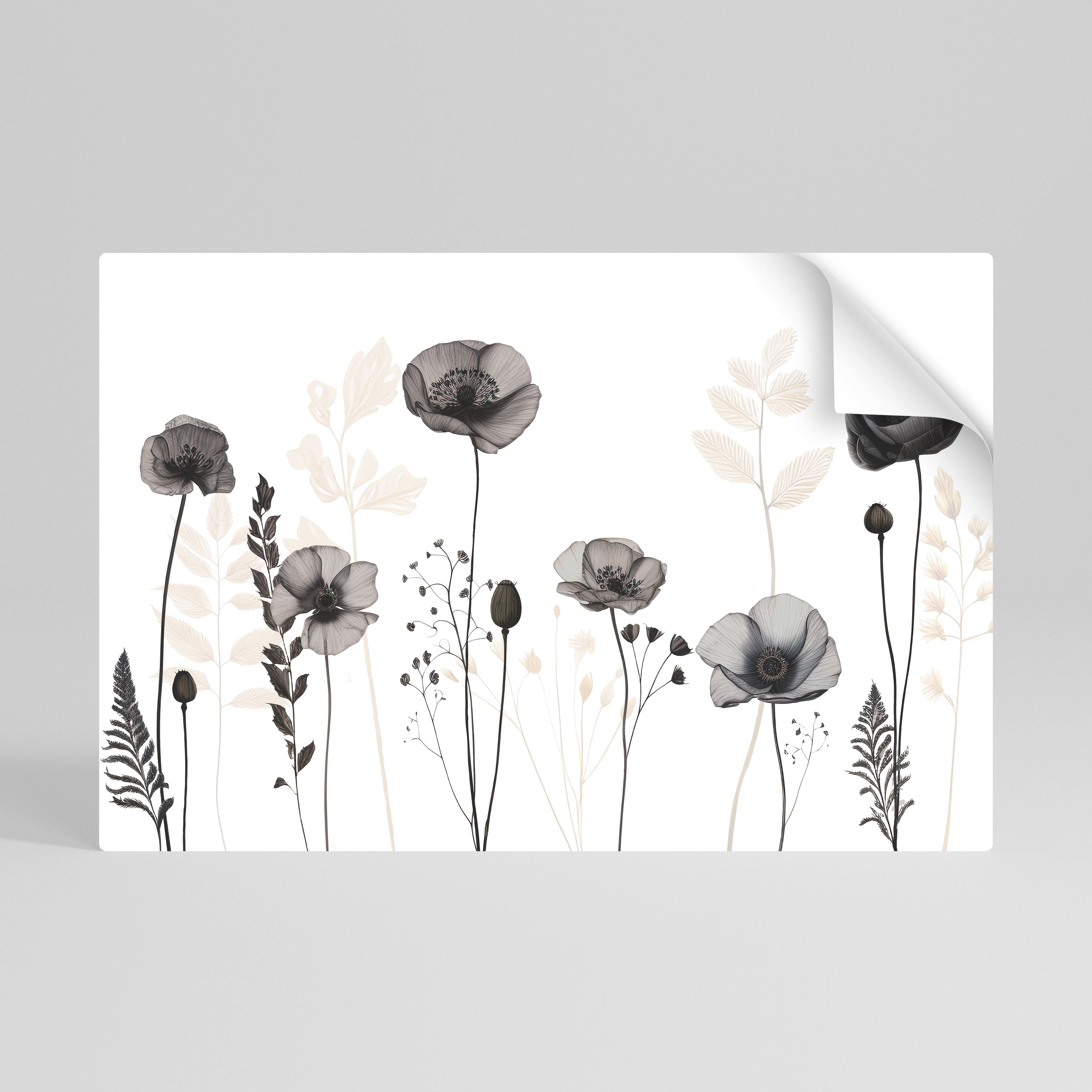 POPPY ALLURE Självhäftande Horisontell Poster