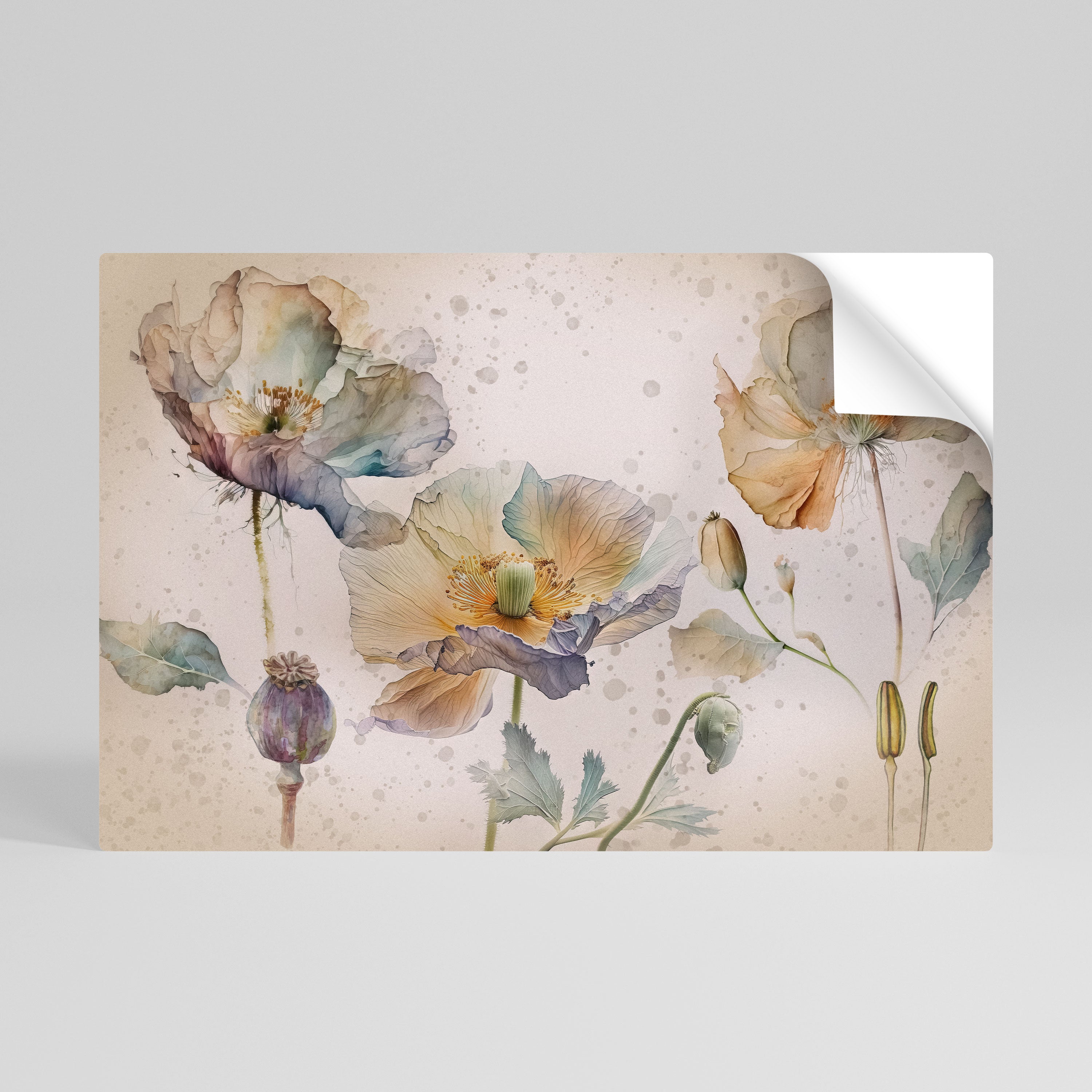 SOFTEN POPPY Självhäftande Horisontell Poster