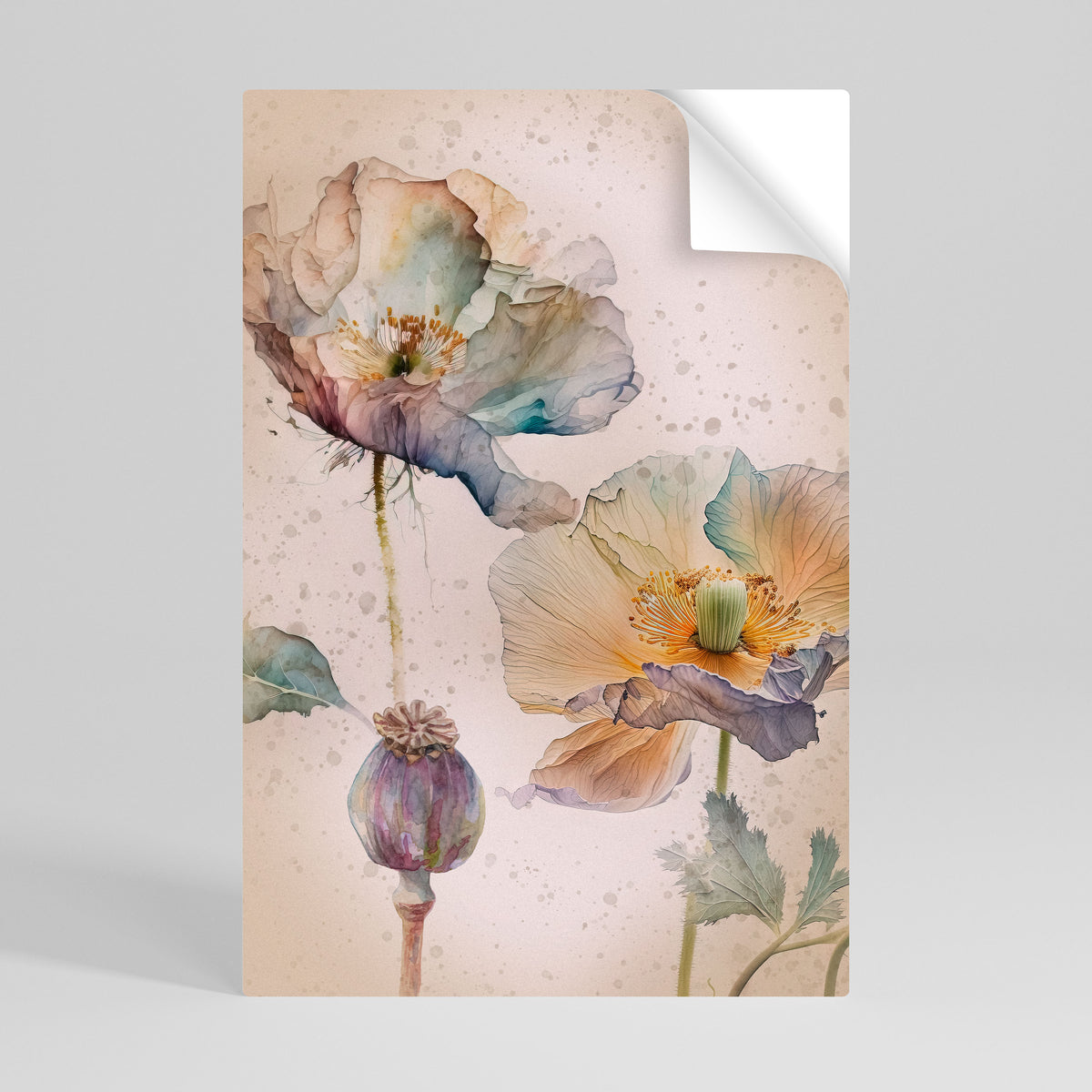 SOFTEN POPPY Självhäftande Vertikal Poster