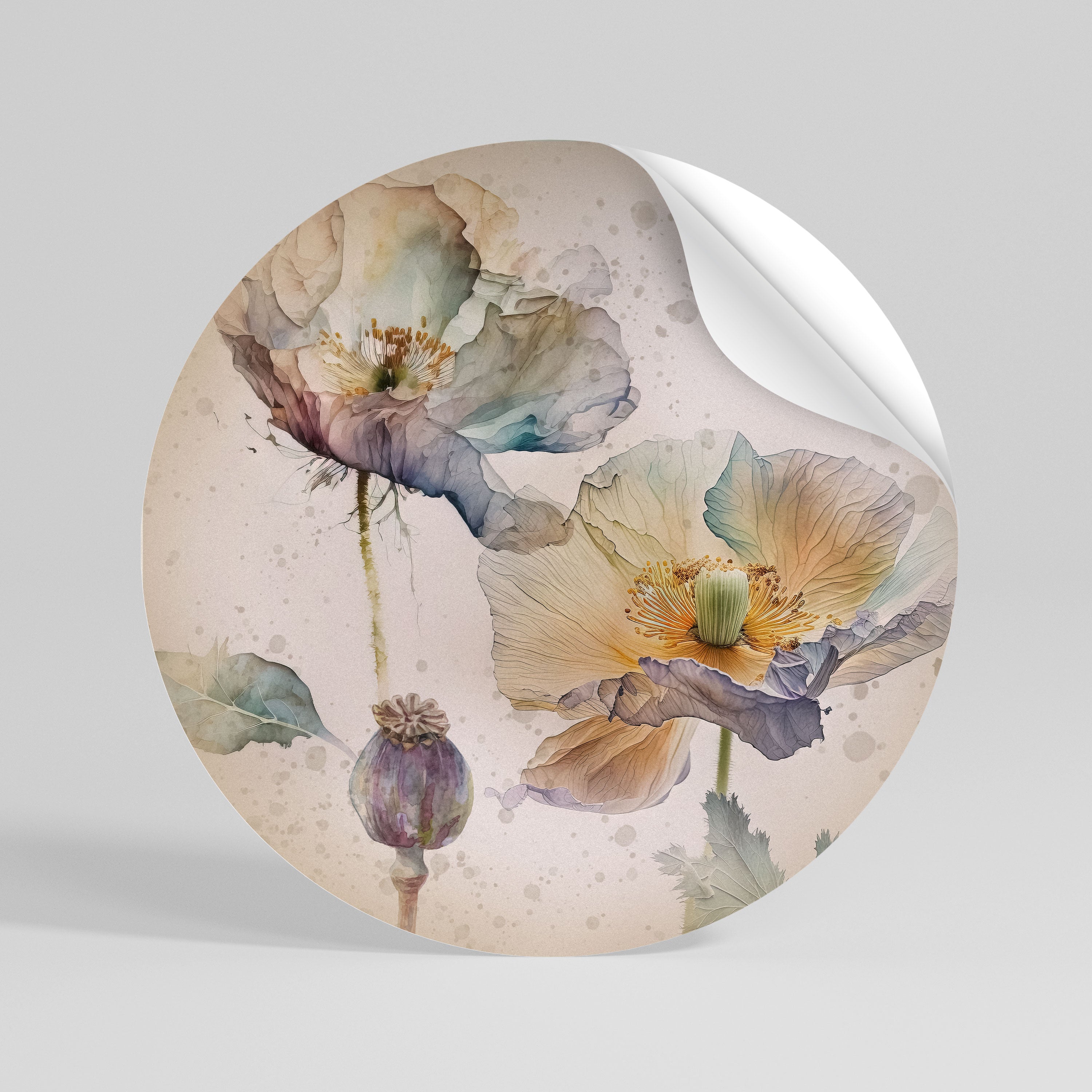 SOFTEN POPPY Rund väggdekal