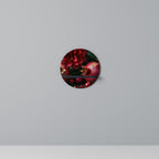 DAHLIAS AND POMEGRANATES Dekorationshylla