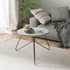 FLEETING WHITE PETALS Coffee Table