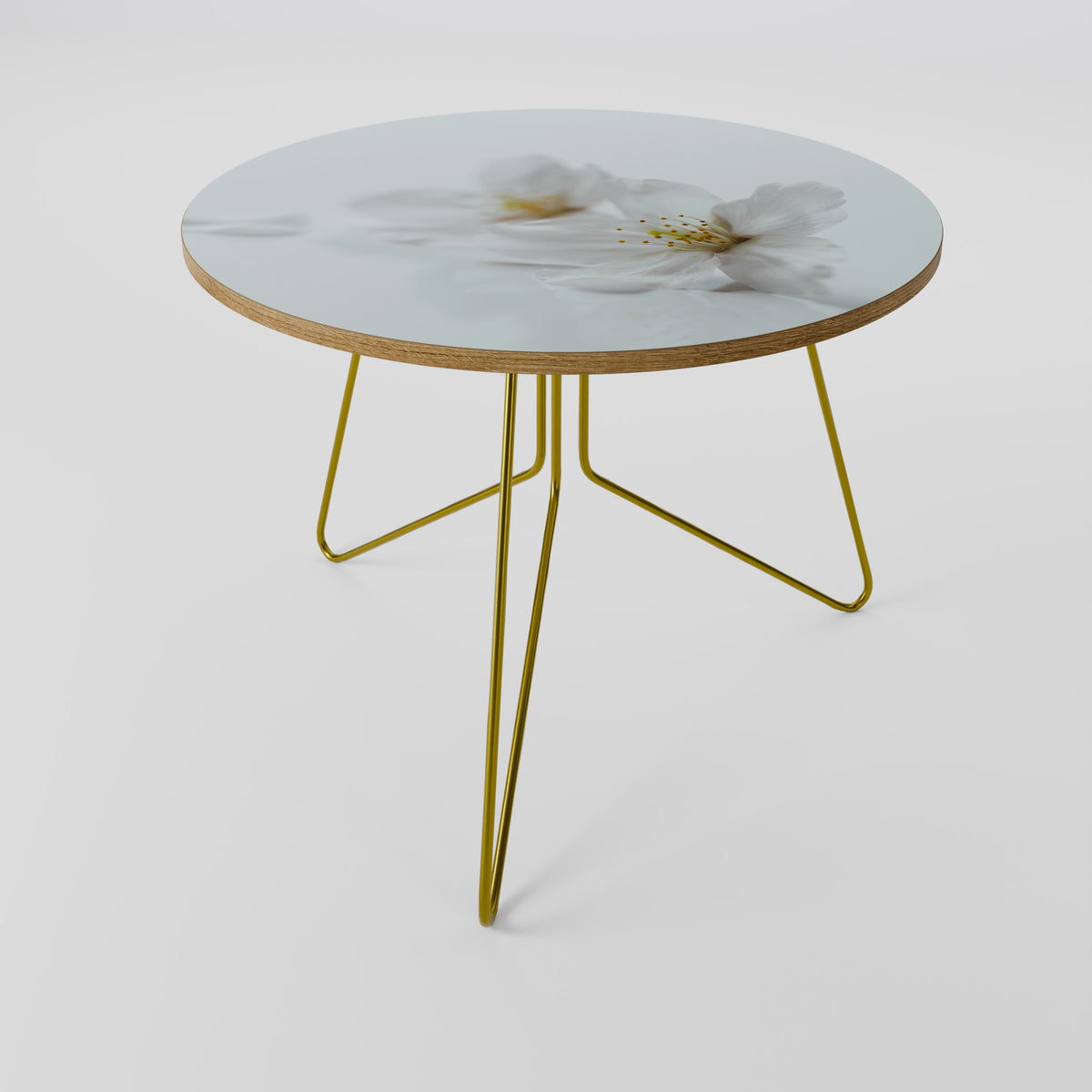 FLEETING WHITE PETALS Coffee Table
