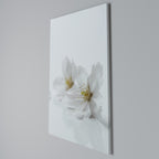 FLEETING WHITE PETALS Vertical Canvas Print