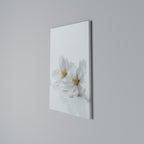FLEETING WHITE PETALS Vertical Canvas Print