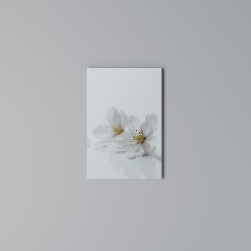 FLEETING WHITE PETALS Vertical Canvas Print