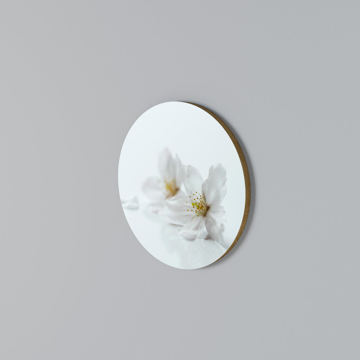 FLEETING WHITE PETALS Round Wall Art