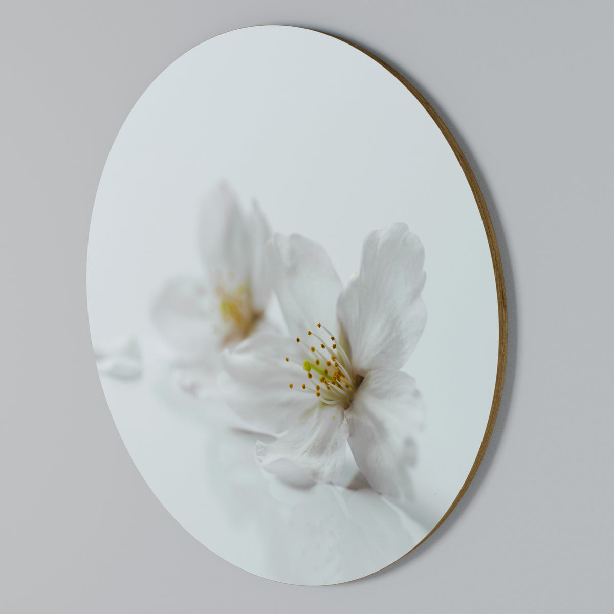 FLEETING WHITE PETALS Round Wall Art