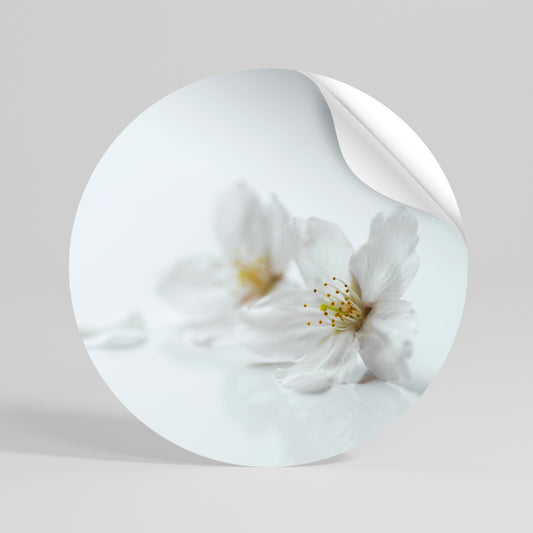FLEETING WHITE PETALS Rund väggdekal