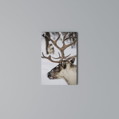 WHISPERS OF FROST Vertical Canvas Print