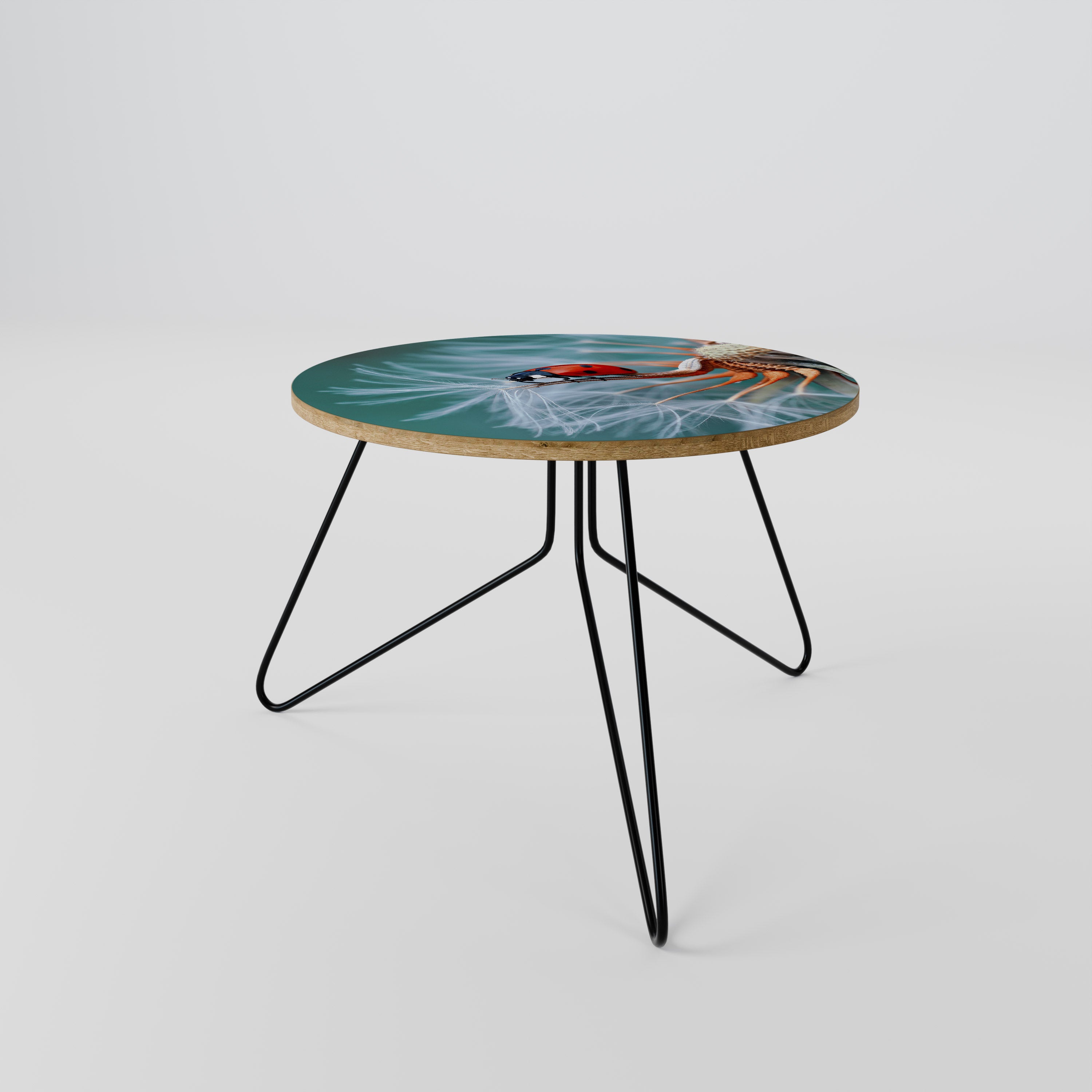 LADYBUG BALANCE Coffee Table