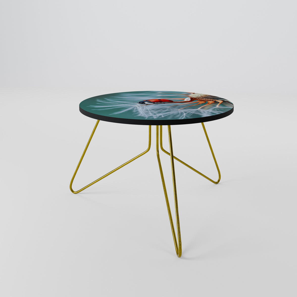 LADYBUG BALANCE Coffee Table