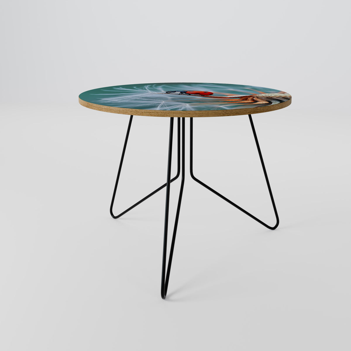 LADYBUG BALANCE Coffee Table
