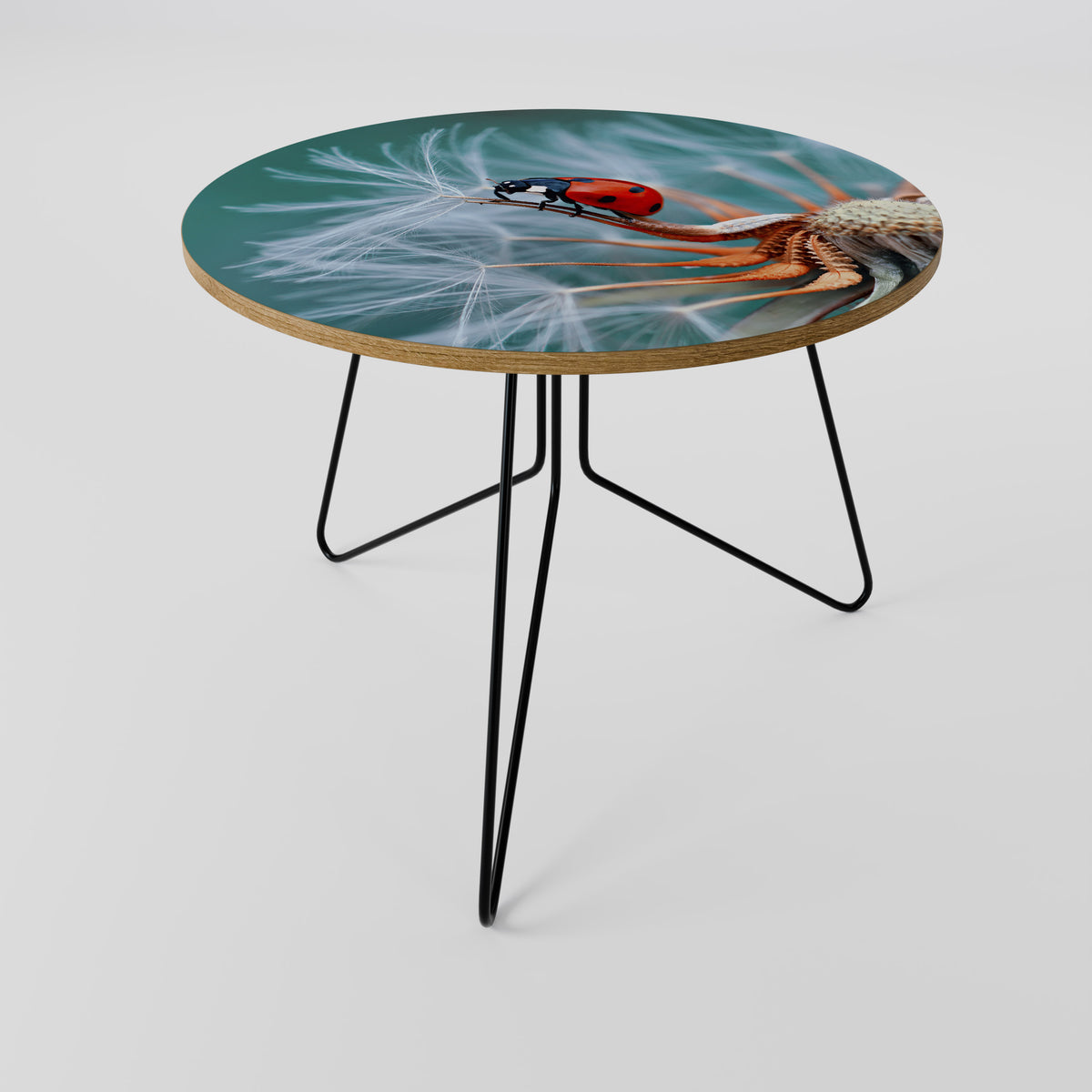LADYBUG BALANCE Soffbord